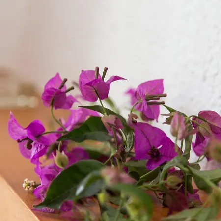 Moraira Holiday Villa *